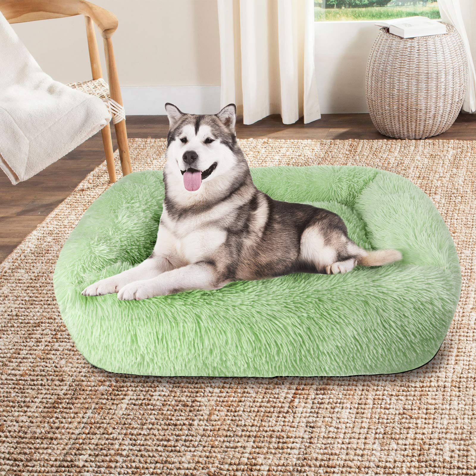 Lucky Monet Orthopedic Dog Bed for Medium Dogs - 26
