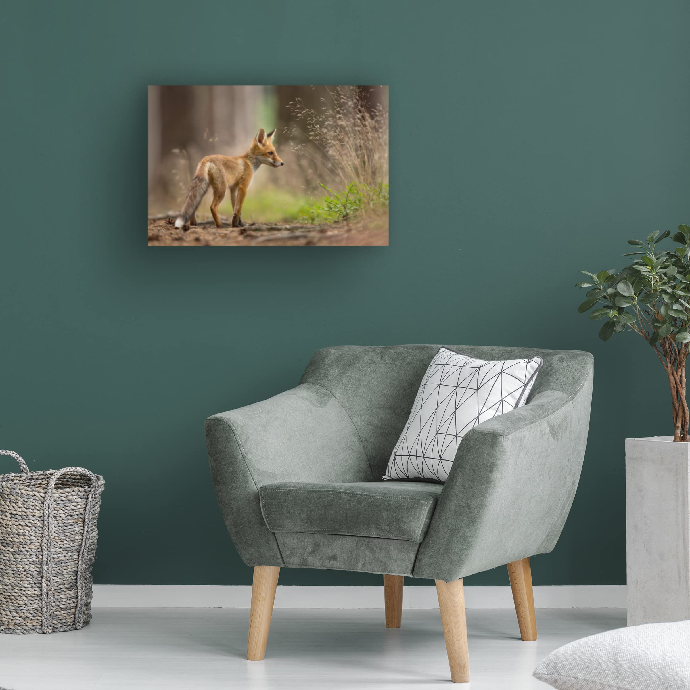 Trademark Fine Art 'Red Fox 1' Canvas Wall Art by Milan Zygmunt - Wildlife Home Decor for Living Room, Bedroom & Office