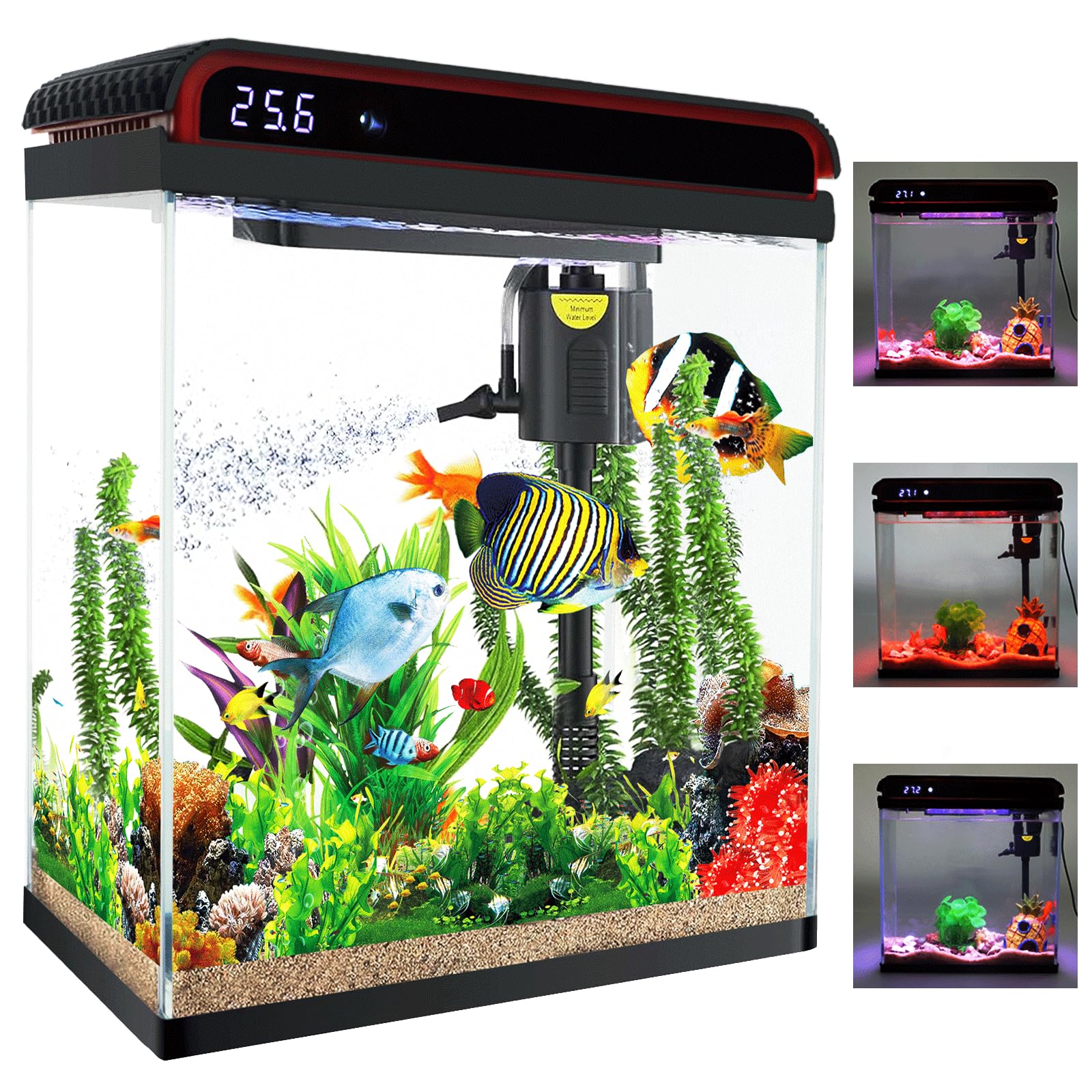 10 Gallon Betta Fish Tank with LED Lights & Filter Pump - Self Cleaning Glass Aquarium Starter Kit for Kids Room, Ultra Quiet Decoration - Perfect for Home, Office & Gifts