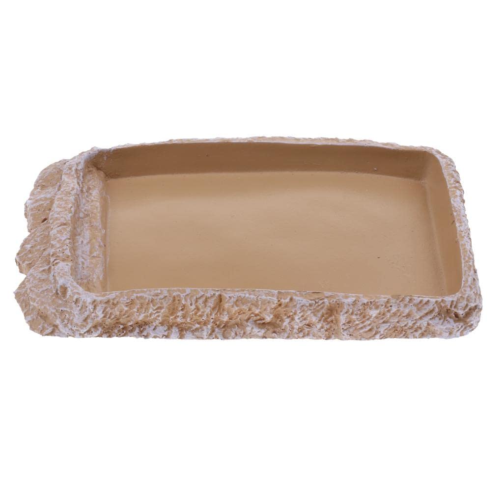 UJEAVETTE Reptile Feeding Bowl - Creamy White NS-14 for Food & Water - Perfect for Terrariums