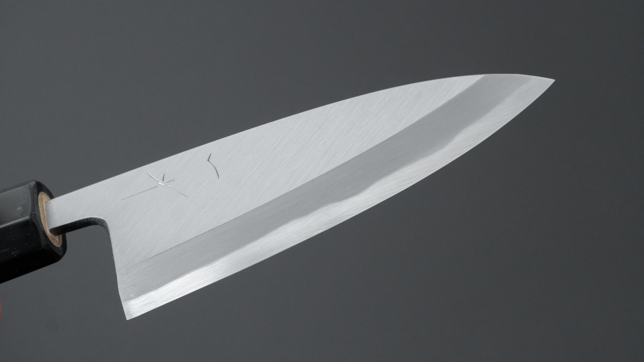 Premium Hitohira Togashi Blue #2 Steel Deba Knife 120mm - Japanese Kitchen Knife with Ho Wood Handle & Saya Scabbard - Perfect for Sushi, Fish Filleting & Asian Cuisine Preparation