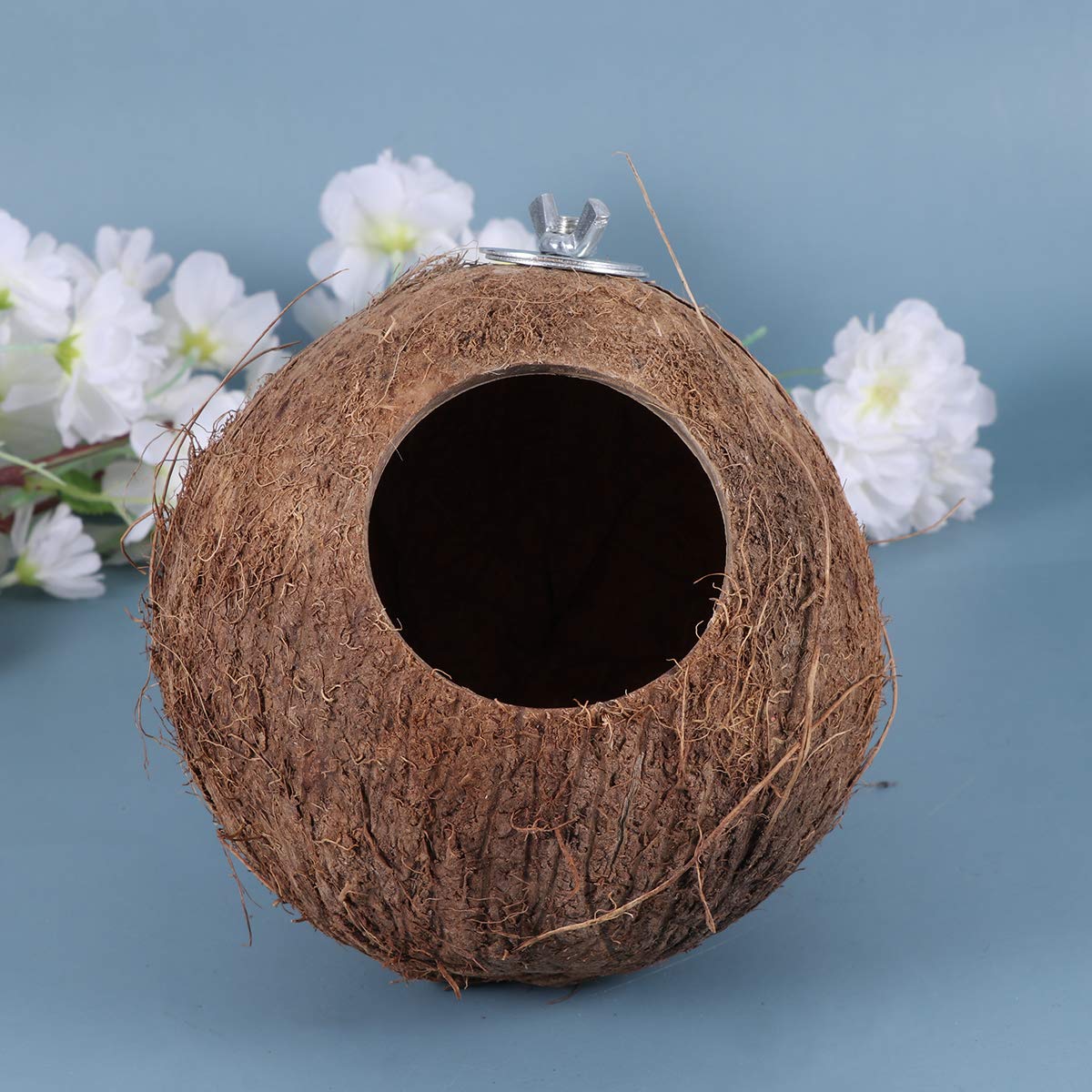 1pc Coconut Shell Bird Nest - Natural Parrot Toy for Relaxing & Shade - Eco-Friendly Bird Cage Accessories for Parakeets, Cockatiels - Perfect for Playtime & Resting in Bird Cages