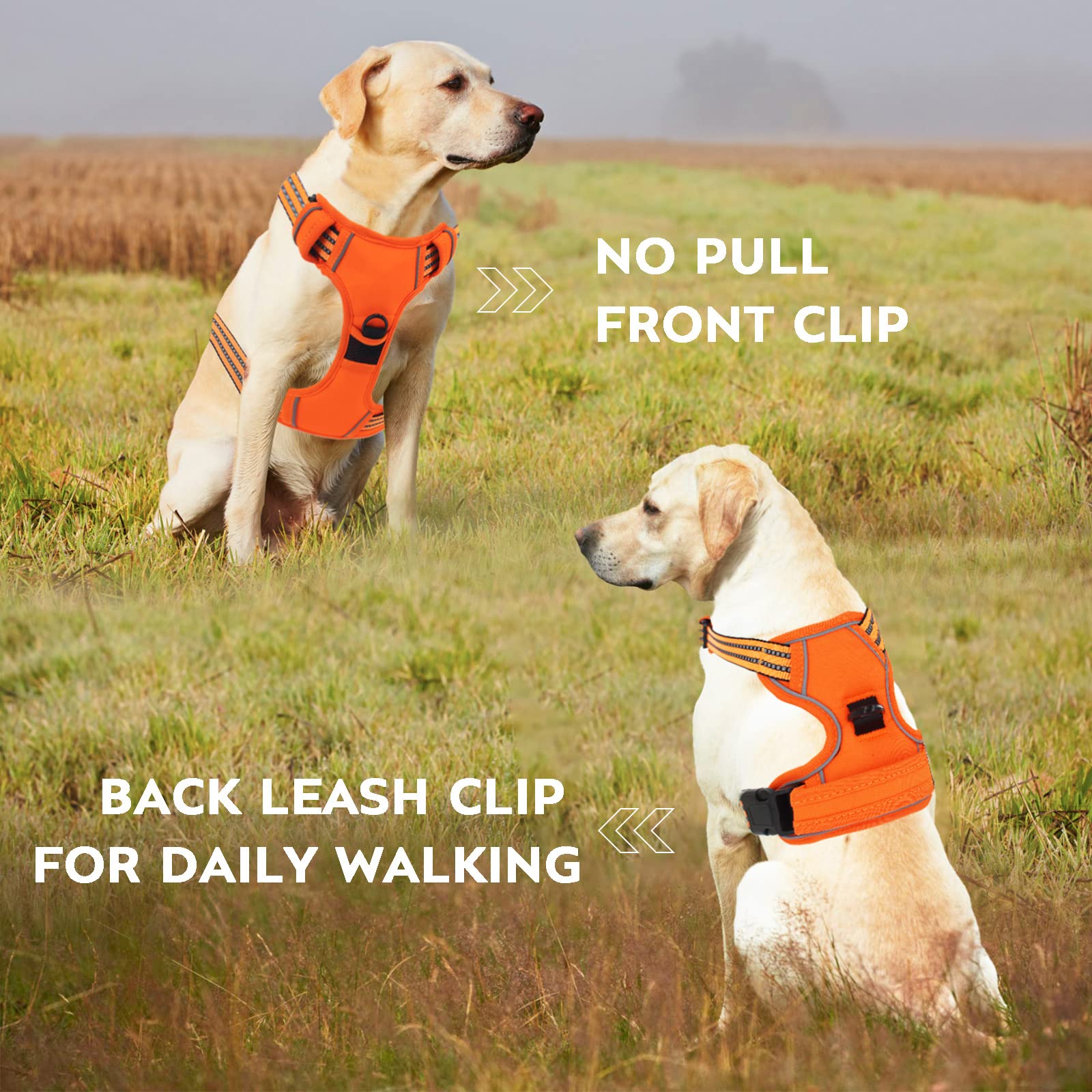 No Pull Dog Harness for Small Medium Large Dogs - Adjustable Reflective Pet Vest with Front Clip & Padded Design - Easy Control Handle for Outdoor Training, Walking & Hiking - Perfect for Daily Use, Park Visits & Pet Adventures (Orange)