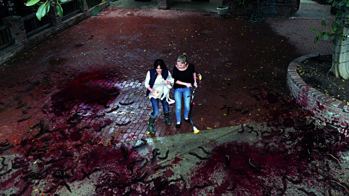 Blood Lake - Killer Fish Attack | Thrilling Horror Movie for Halloween & Scary Movie Nights