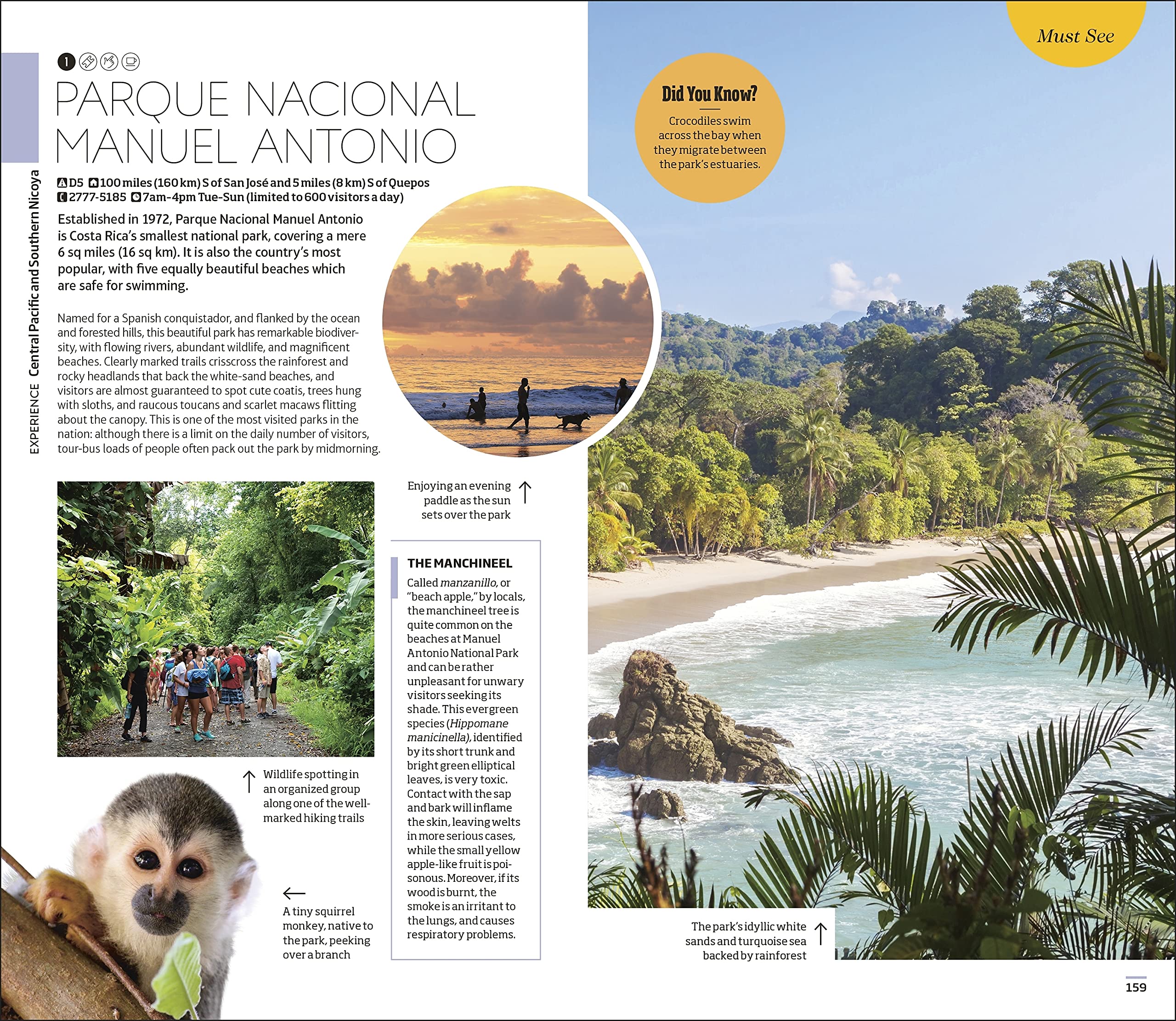 DK Eyewitness Costa Rica Travel Guide - Explore Rainforests, Beaches & Wildlife | Perfect for Adventure & Eco-Tourism Vacations