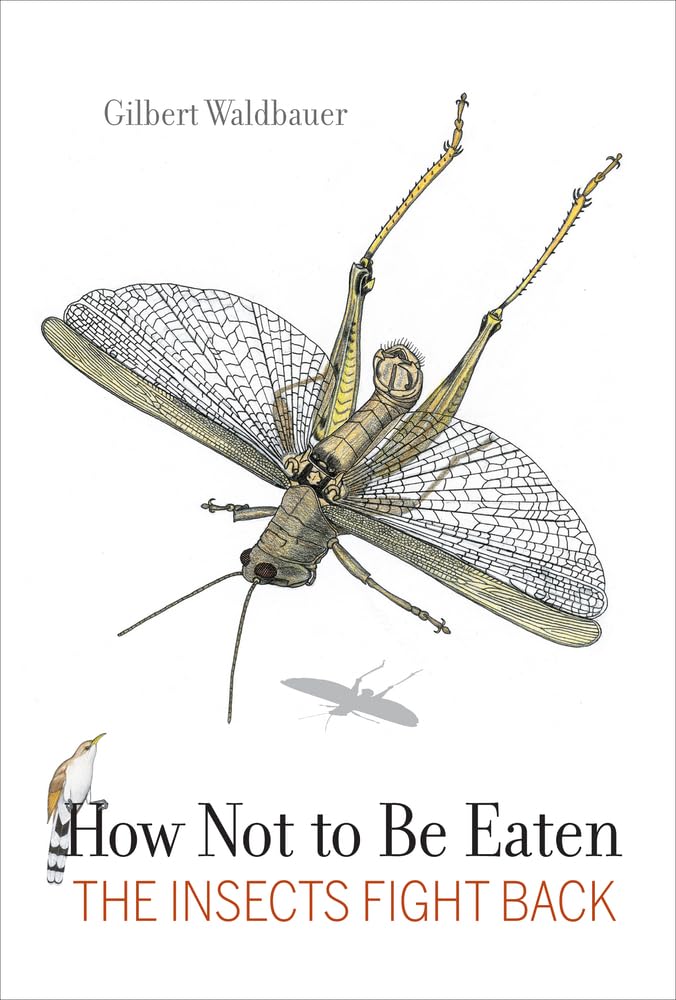 How Not to Be Eaten: Survival Strategies of Insects in Nature – Perfect for Science Enthusiasts & Nature Lovers