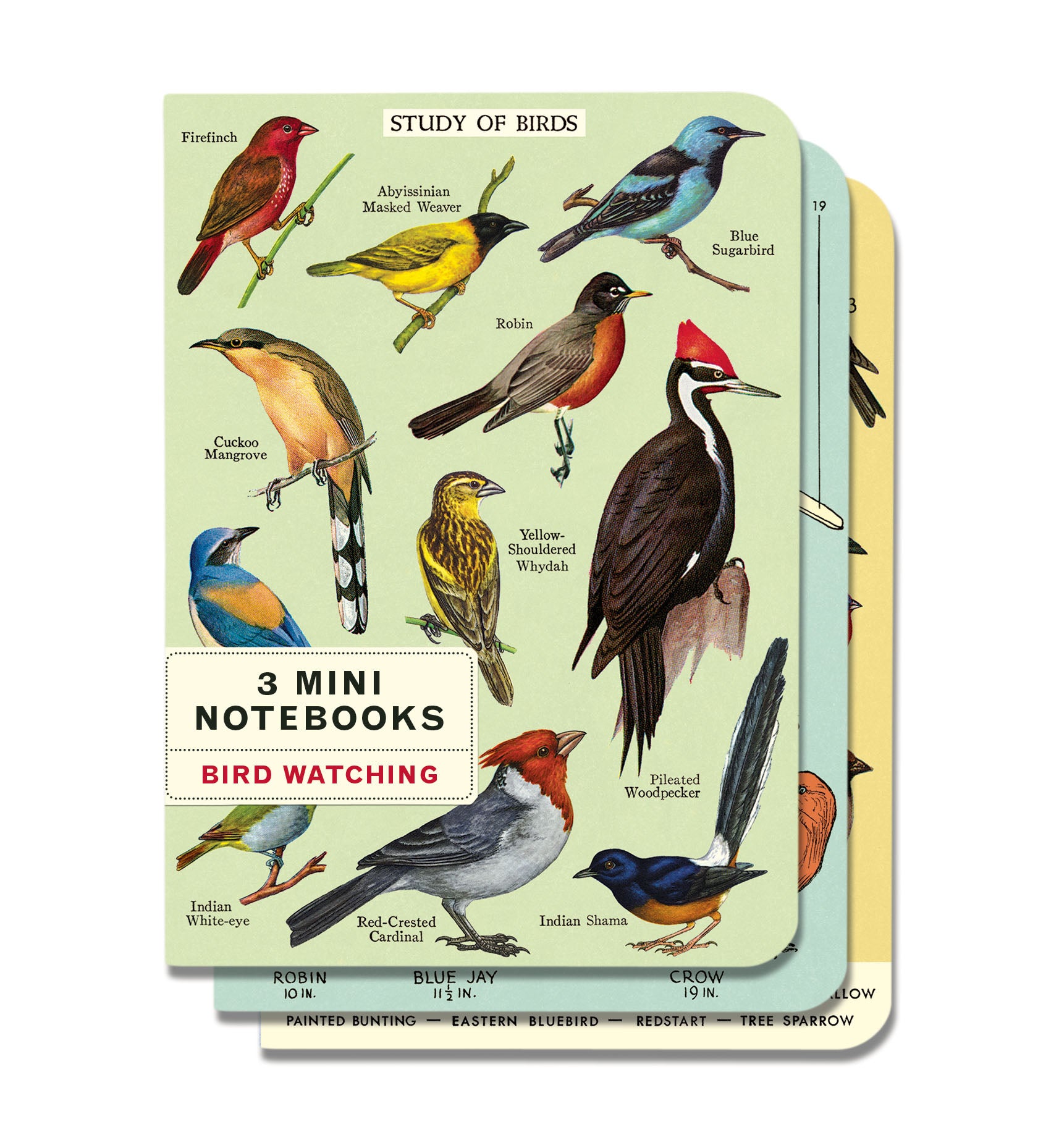 3 Pack Mini Notebooks for Bird Watching - Portable & Durable Field Journals for Birders, Nature Lovers & Outdoor Enthusiasts - Perfect for Hiking, Camping & Wildlife Observation