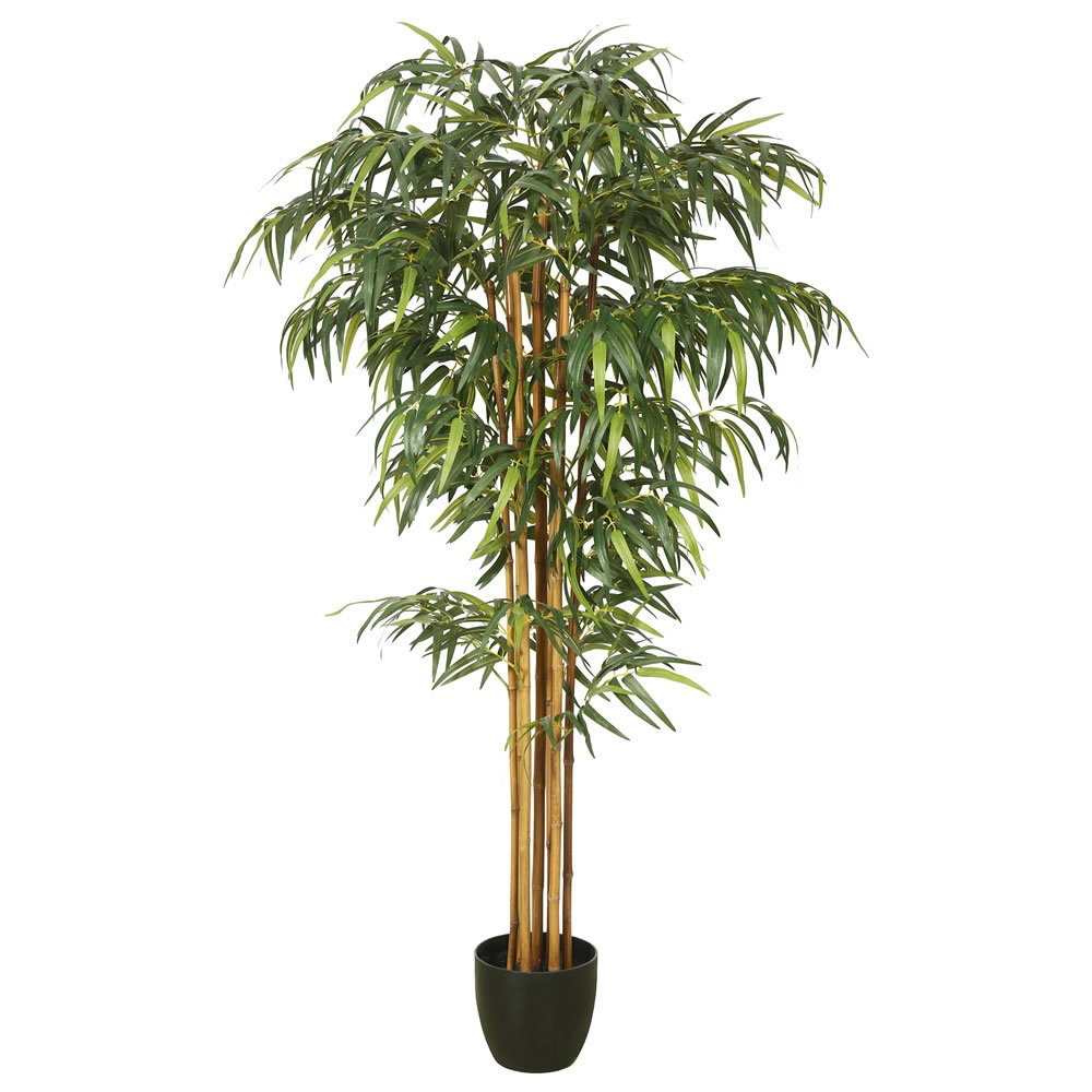 6 ft. Tall Indoor Bamboo Plant in Decorative Pot - Perfect for Home Office Decor, Living Room Greenery & Feng Shui Enhancement