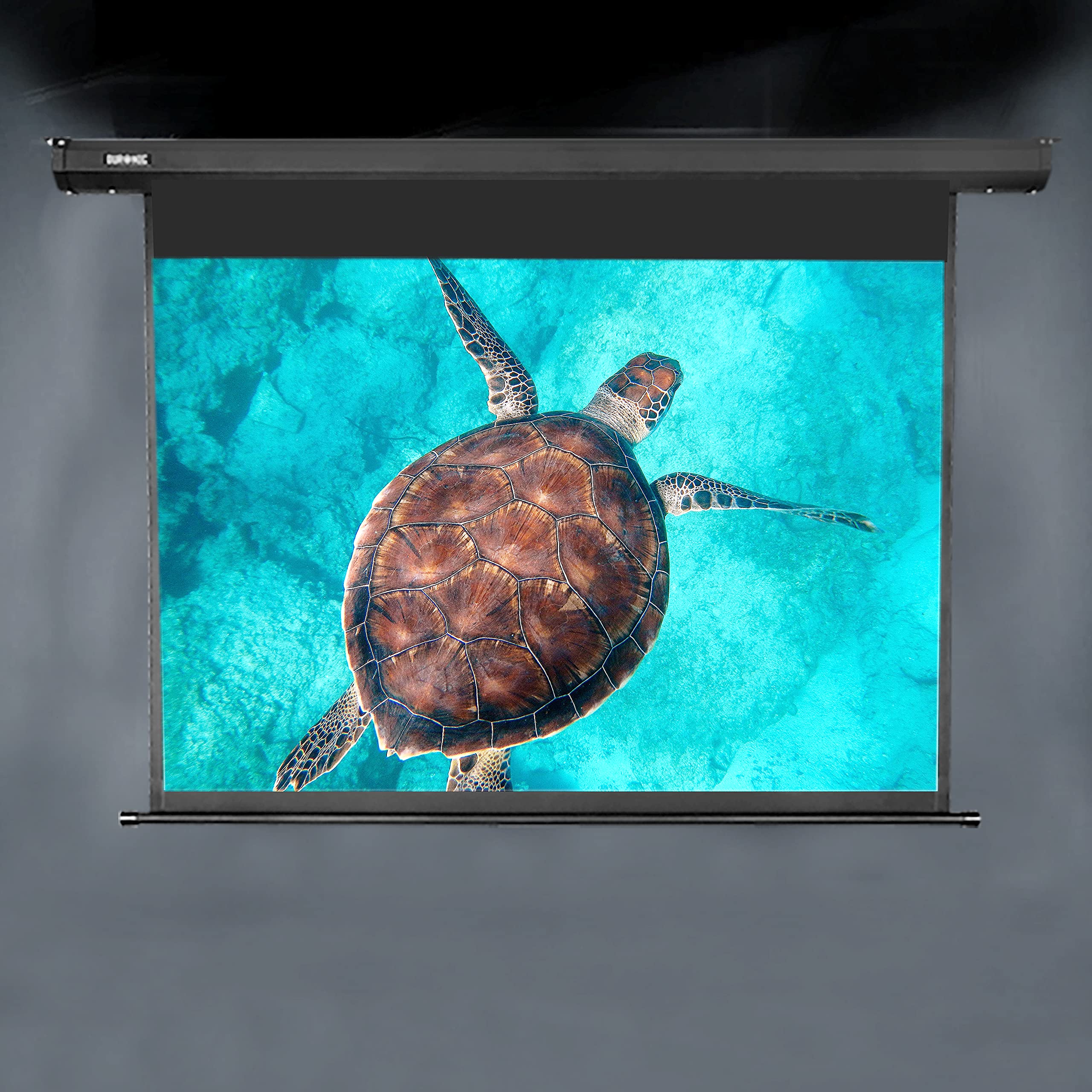 Duronic EPS115 115-Inch Electric Projector Screen - 16:9 HD Matt White (254.5x143cm/100.5x56.5