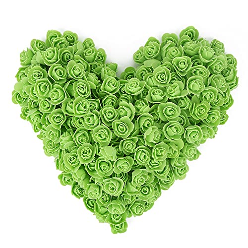 500pcs Fruit Green