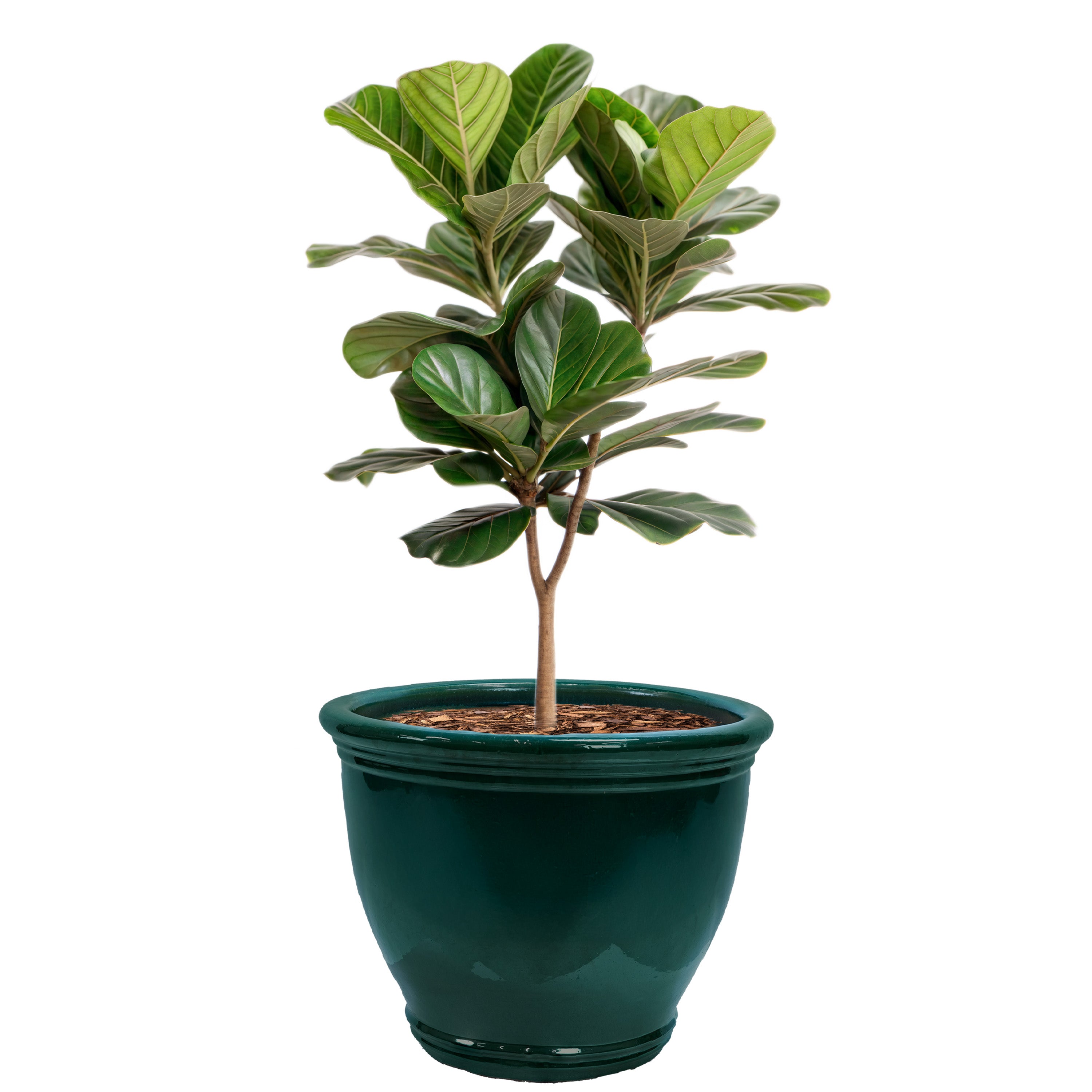 Sunnydaze Studio Round Glazed Ceramic Planter with Drainage Hole - Indoor Outdoor Flower Pot for Plants, Succulents, Herbs - Perfect for Patio, Garden, Balcony Decor