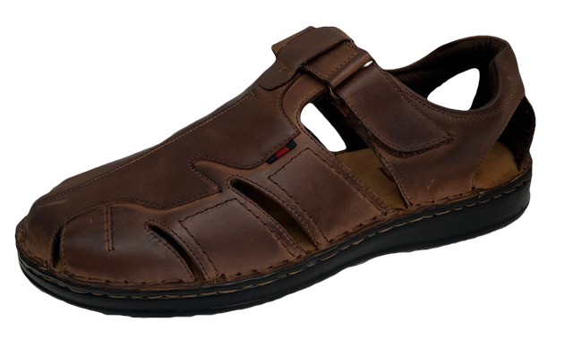Fom Destin - Premium Quality Product for Everyday Use | Ideal for Home, Office & Travel