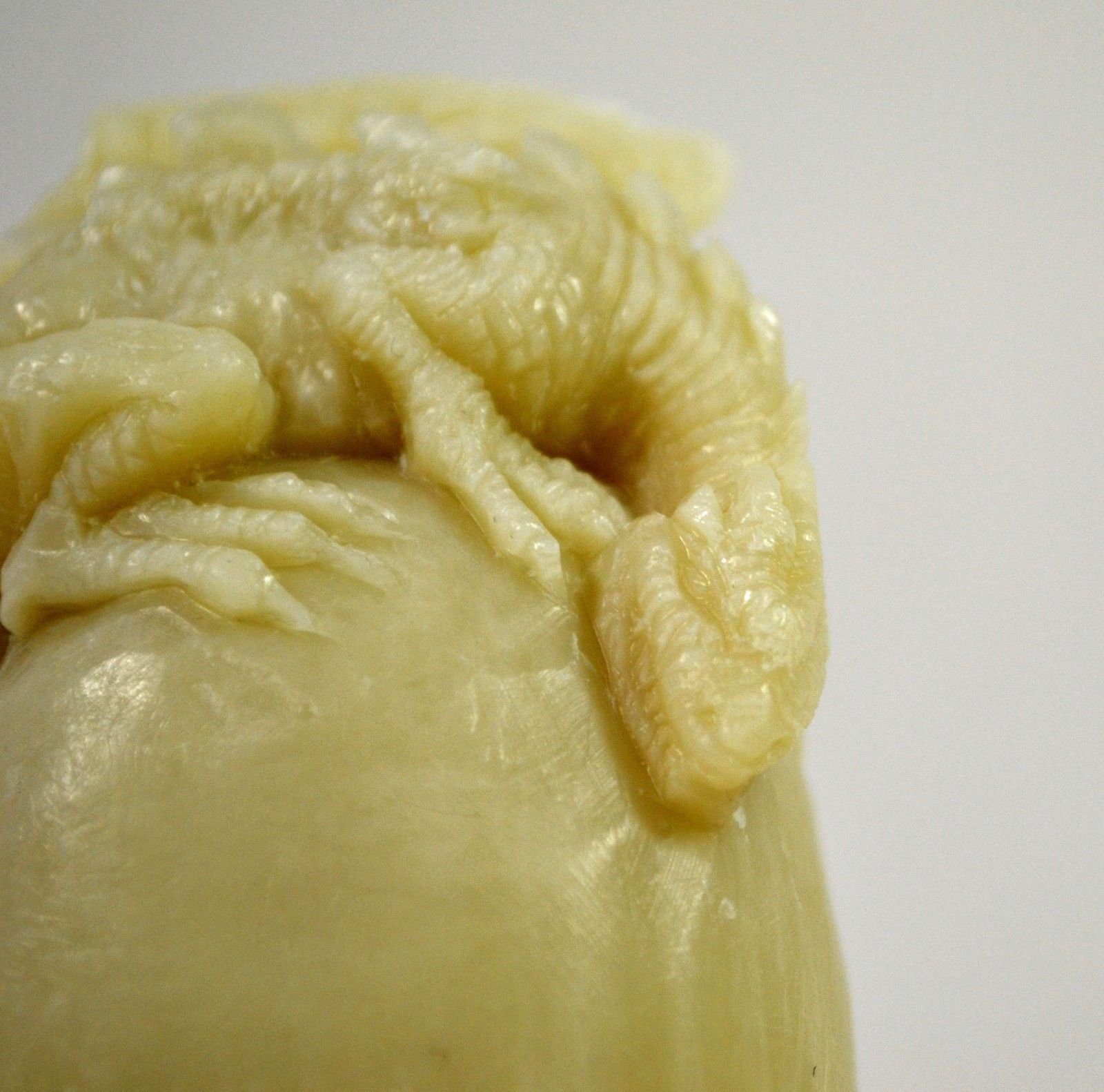 Dragon Silicone Mold for Soap, Resin, Wax, Plaster & Clay - Perfect for DIY Crafts, Candle Making, and Egg Decorations