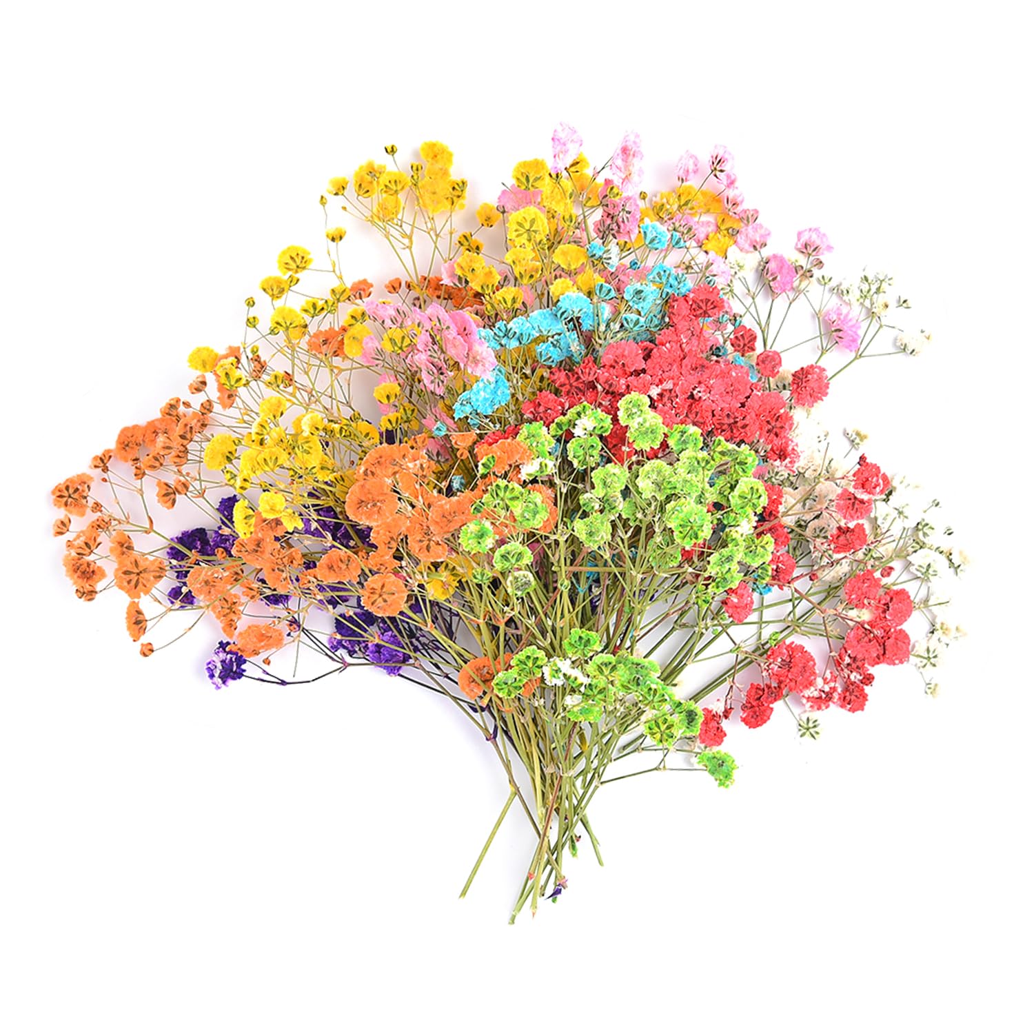 200PCS Mini Dried Flowers Set - Natural Real Pressed Flowers for DIY Crafts, Wedding Decor, Resin Art, Scrapbooking & Card Making - 10 Vibrant Colors Including Gypsophila - Perfect for Home Decor, Gift Wrapping & Journal Embellishments