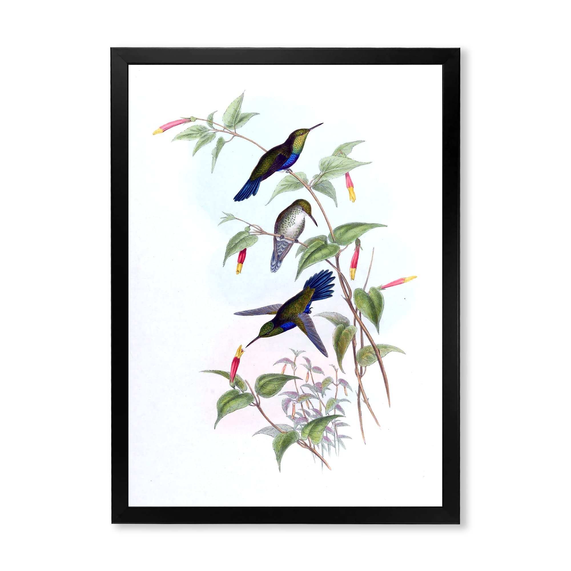 Vintage Hummingbird Wall Art - Traditional Framed Home Decor for Living Room, Bedroom & Office - Handcrafted Floral Bird Painting - Perfect Gift for Housewarming & Holidays