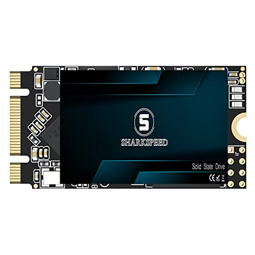 M.2 2242 SSD