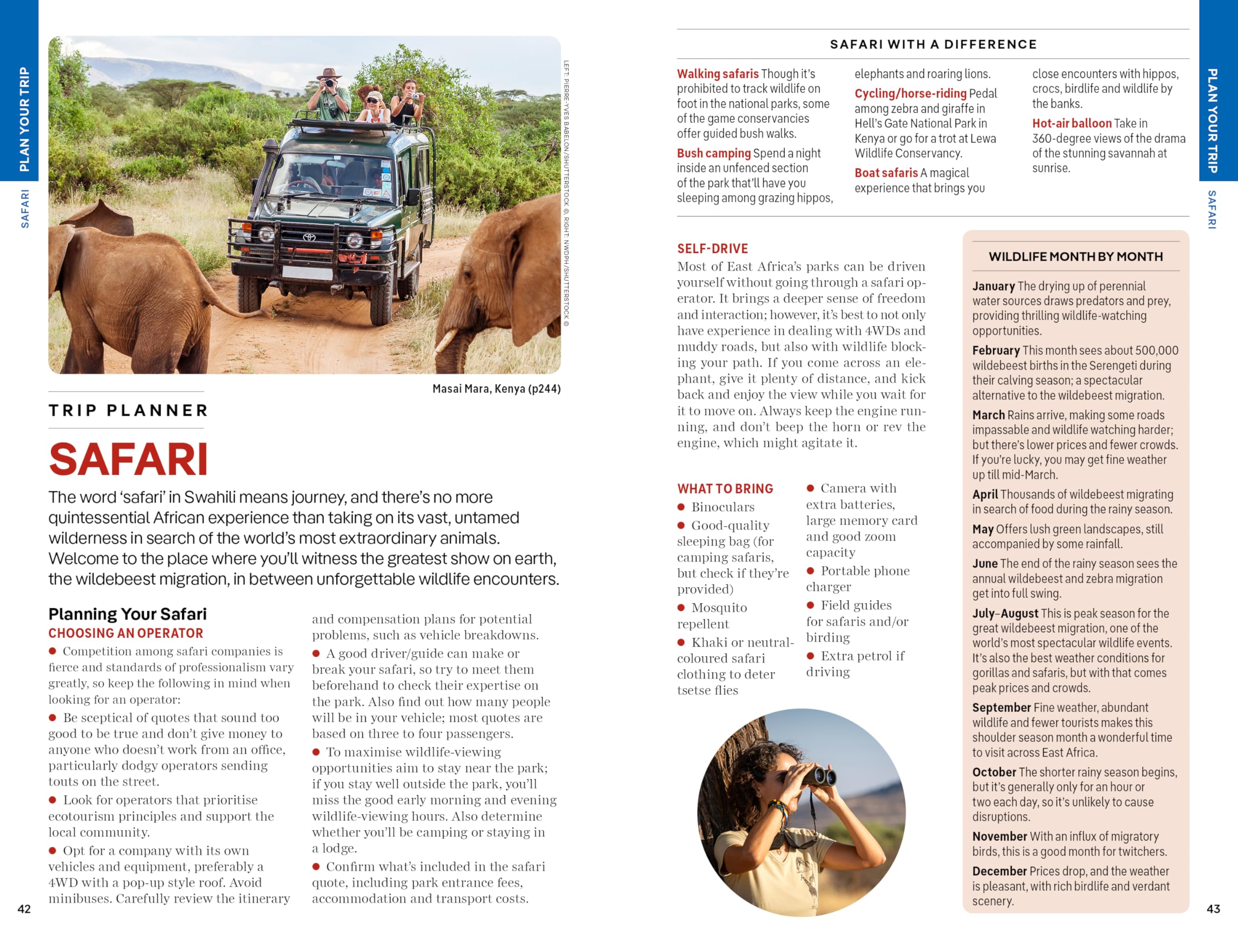 Lonely Planet East Africa Travel Guide - Best Safari & Adventure Tours 2024 | Kenya, Tanzania, Uganda Travel Tips | Perfect for Backpackers & Wildlife Enthusiasts