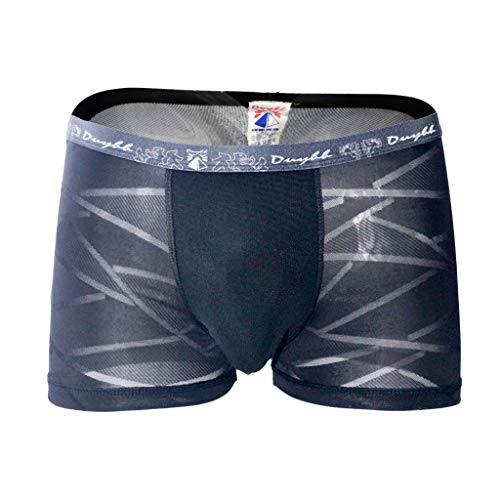 Men's Translucent Mesh Lace Boxer Briefs - Breathable Underwear for Sports & Daily Wear - Comfortable Lingerie for Workouts, Sleep & Everyday Use