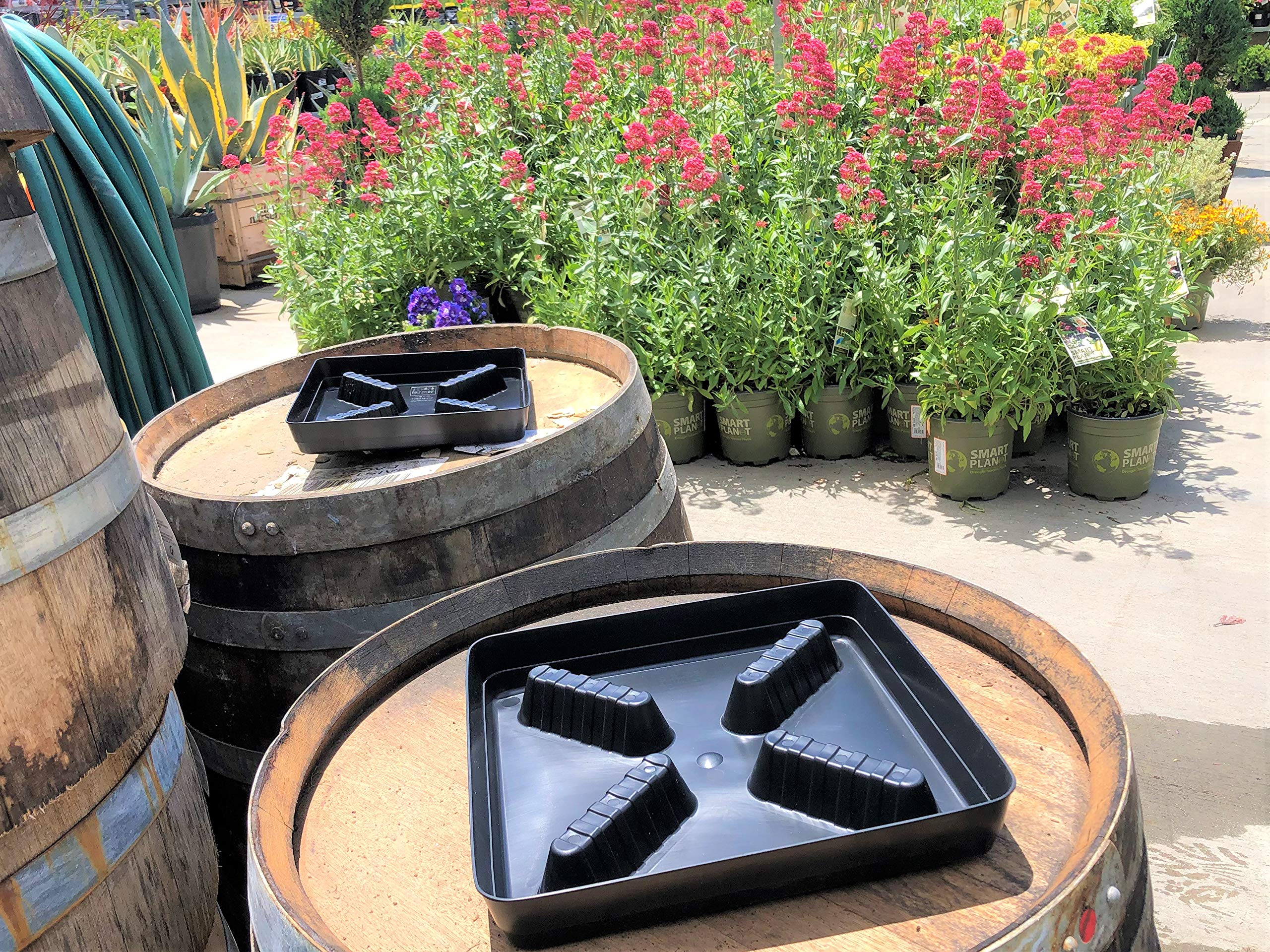 50-Pack 13-Inch Square Plastic Plant Saucers with Riser - Indoor & Outdoor Pot Drain Trays for Potted Plants, Flowers, and Gardening - Durable Water Drip Catcher for Decks, Patios, and Greenhouses