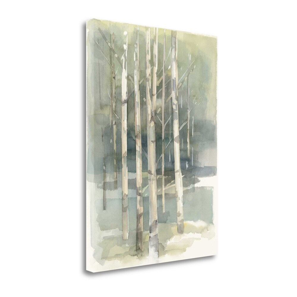 Birch Grove I By Avery Tillmon - Premium Giclee Art Print on Gallery Wrapped Canvas - Handmade Wall Art Ready to Hang - Perfect for Living Room, Bedroom & Office Decor
