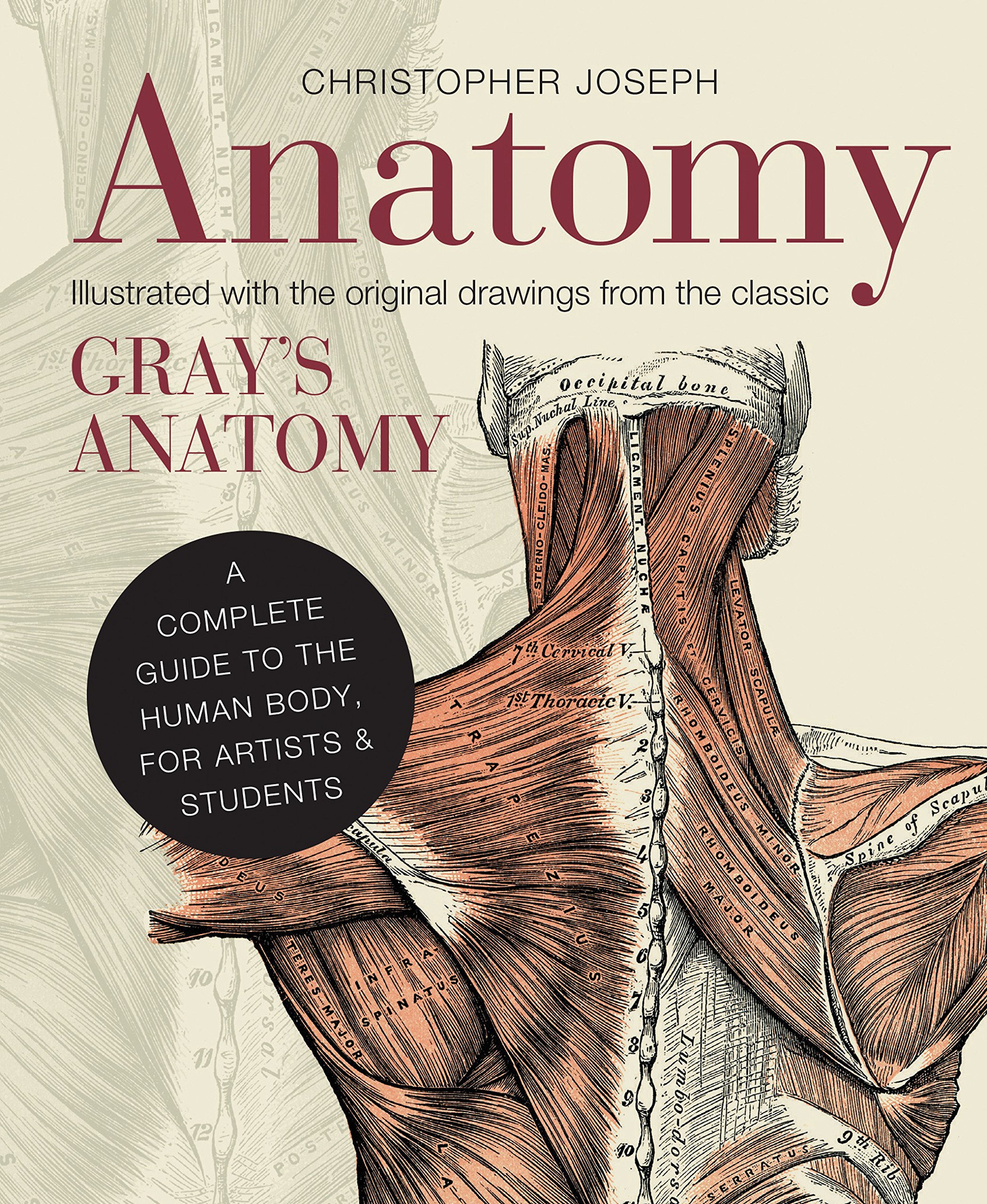 Anatomy Book: A Complete Guide to the Human Body for Artists & Students - Perfect for Medical Studies, Art Reference & Science Education