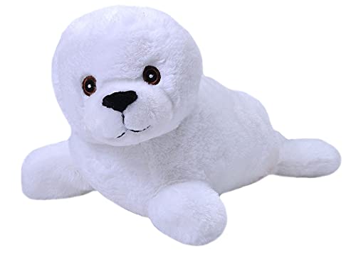 Harp Seal Pup