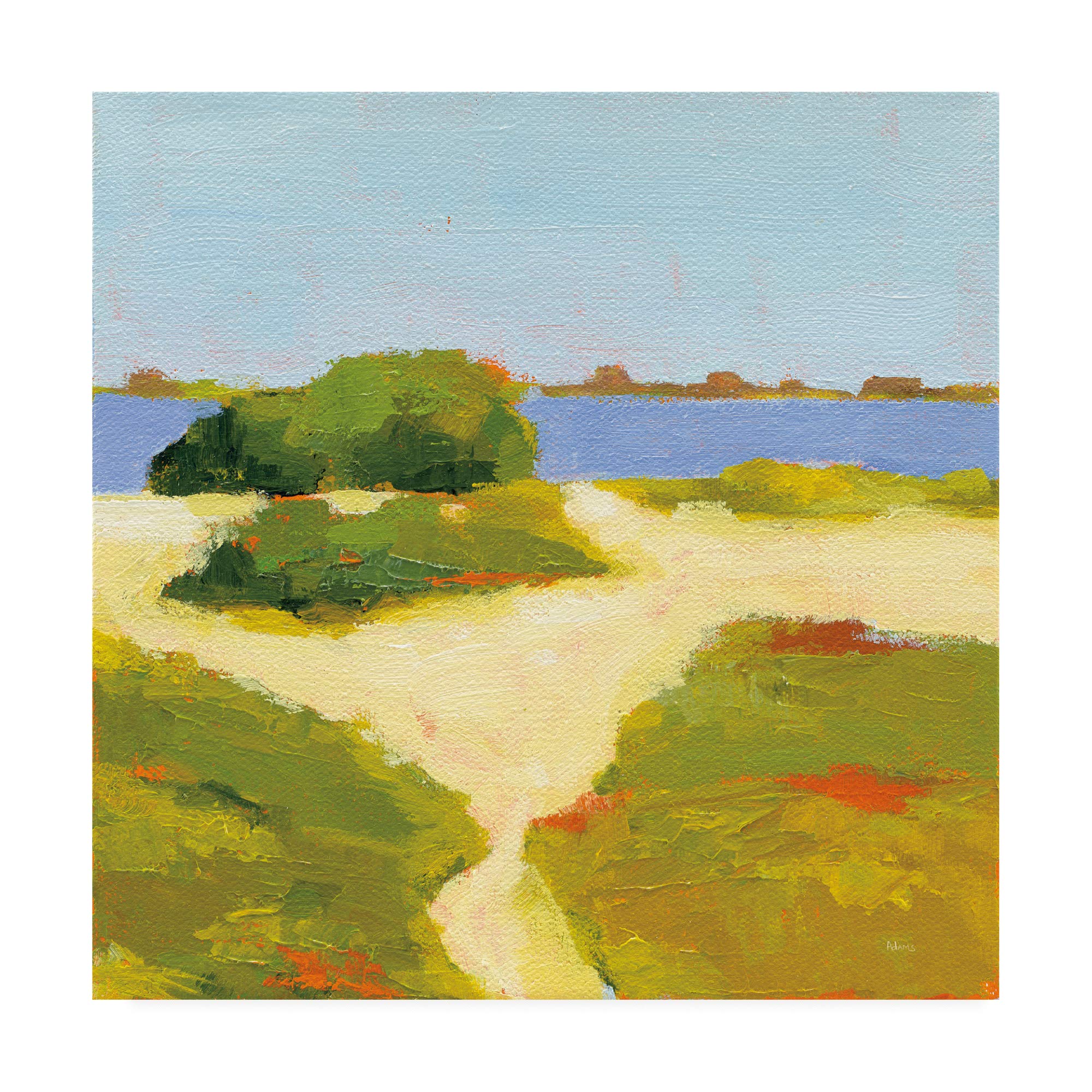 Trademark Fine Art 'Path to The Beach' by Phyllis Adams - 18x18 Inch Canvas Wall Art - Coastal Decor for Living Room, Bedroom & Office