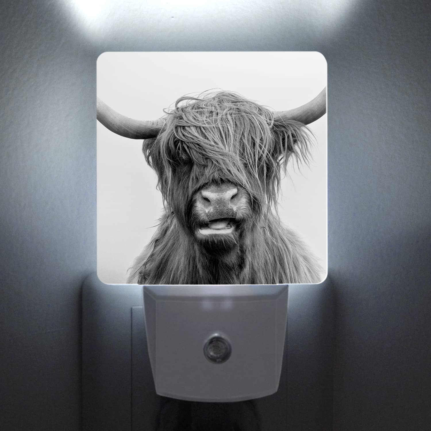 Happy Drinan Highland Cow Night Light - Dusk to Dawn Sensor, White LED Plug-in Nightlight for Bedroom, Bathroom, Kitchen, Hallway & Stairs | Energy Efficient Decor Desk Lamp | Perfect for Kids' Rooms, Nurseries & Cozy Home Decor