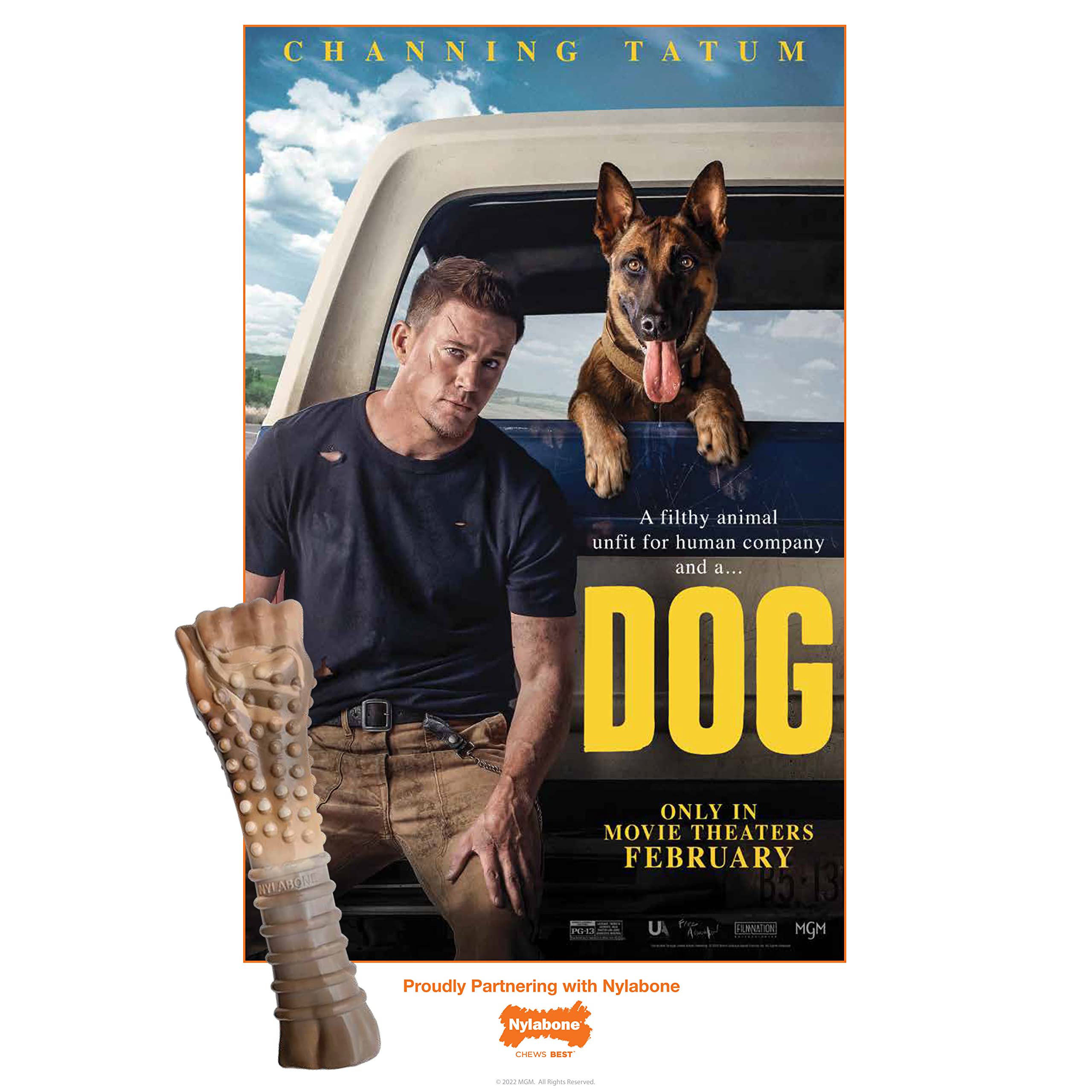 Nylabone Power Chew Camo Dog Toy - Durable Chew Toys for Aggressive Chewers & Large Breed Dogs (50+ lbs) - Indestructible Chicken Flavor Dog Bone for Extra Large Dogs - Perfect for Playtime, Training & Dental Health
