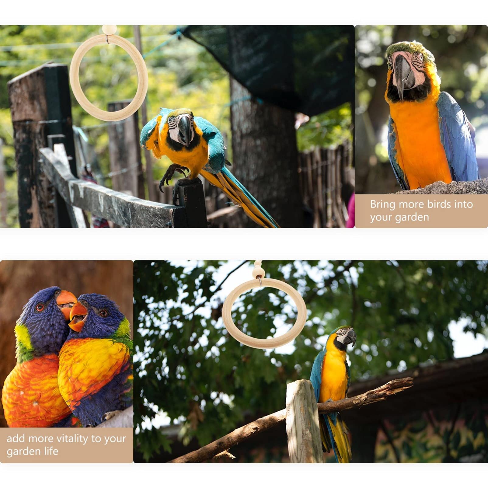 Balacoo 2 Pack Wooden Parrot Swing Toy Set - Natural Wood Perch, Bird Hammock & Ladder for Parakeets, Cockatiels, Lovebirds - Fun Climbing & Play Cage Accessories for Small Birds (Ideal for Playtime & Exercise)