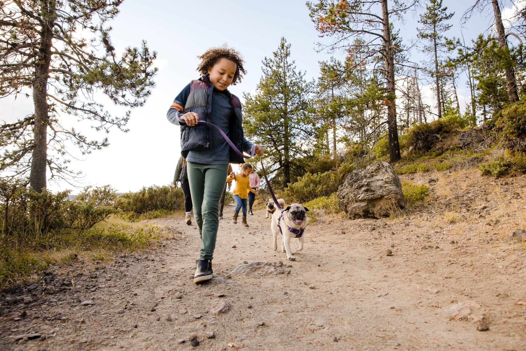 Front Range Dog Harness - Adjustable No-Pull Pet Vest for Medium & Large Dogs | Perfect for Hiking, Running & Outdoor Adventures