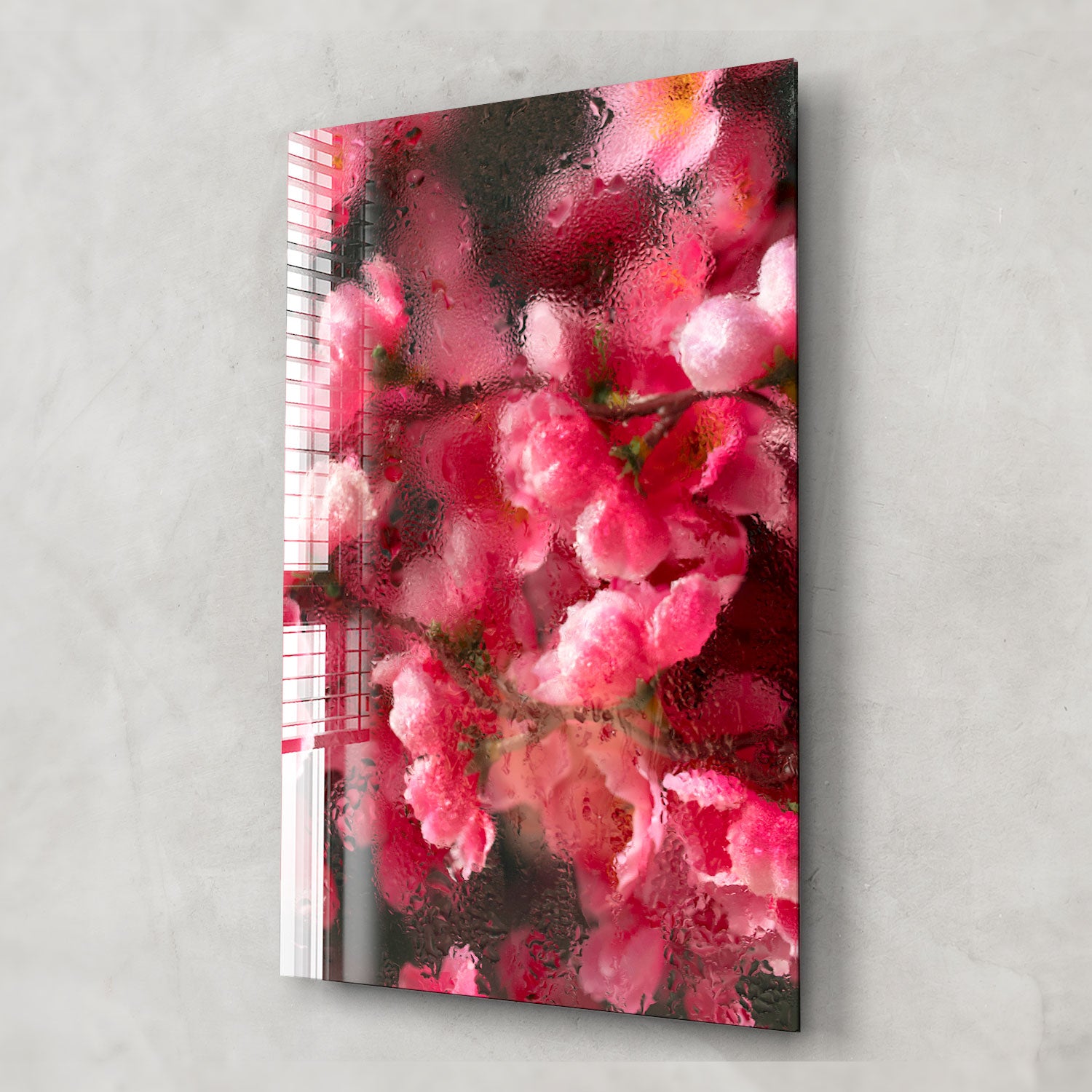 Humidity Flower - Best Moisture Absorber for Home, Closet & Bathroom | Prevent Mold & Odor | Perfect for Humid Areas & Small Spaces