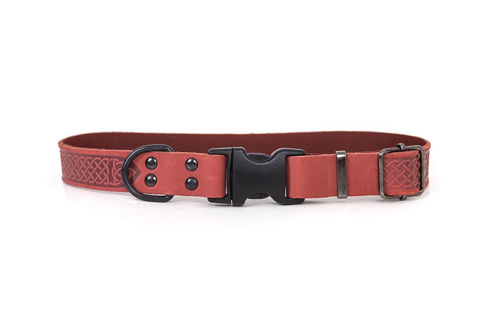 Premium Coral Celtic Sport Quick Release Leather Dog Collar - Adjustable & Durable for Training, Walking, and Outdoor Adventures