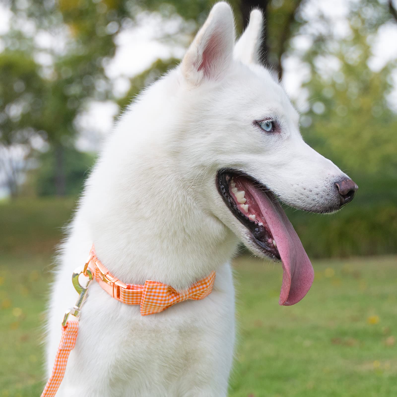 Elegant Plaid Dog Collar with Bow Tie - Soft Comfy Cotton Adjustable Pet Collar for Small Medium Large Dogs & Cats - Premium Metal Buckle for Outdoor Training, Walking & Running (Orange Grid, Small) - Perfect for Daily Walks, Pet Parties & Photo Shoots