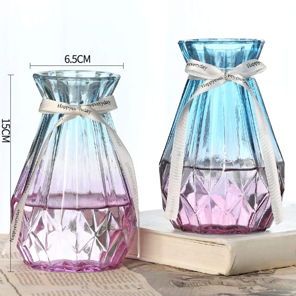 Pair of 2 Elegant Glass Flower Vases - European Style Transparent Water Plant Vases for Home Decor, Dining Table Centerpieces | Perfect for Wedding Decorations, Living Room Accents & Office Desk Decor
