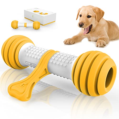 Automatic Dog Bone Orange Color