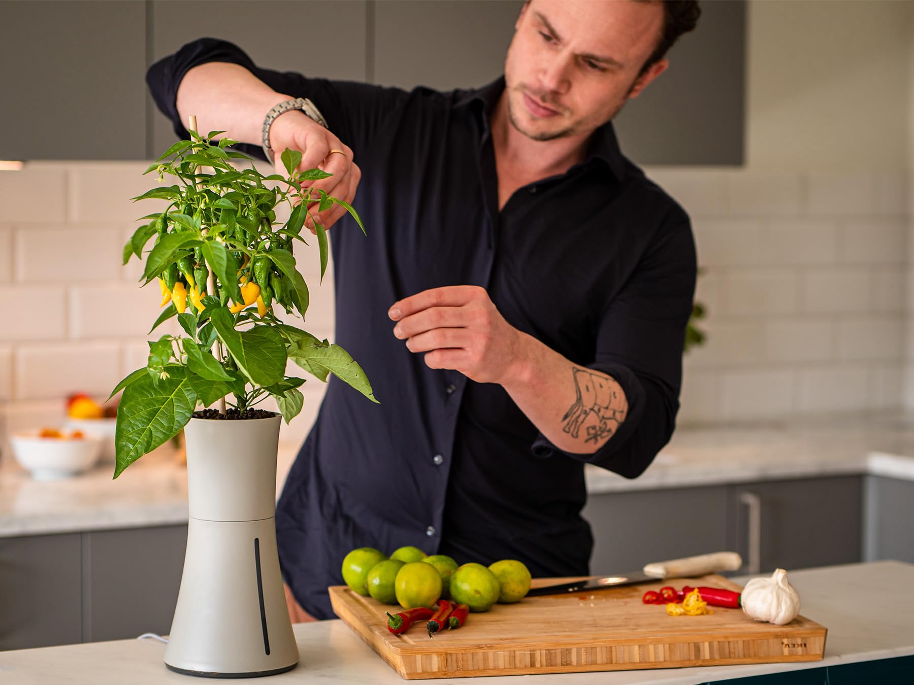 Botanium Hydroponic Indoor Garden System - Automatic Self-Watering Planter Pot for Herbs, Vegetables & Flowers (Grey) - Perfect for Kitchen, Office & Small Space Gardening