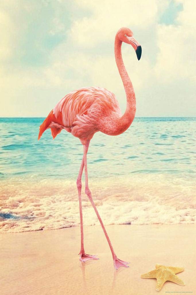 Flamingo on Beach with Starfish - Tropical Flamingo Wall Art Print, Pink Flamingo Bird Wildlife Poster (24x36) - Perfect for Beach Theme Bathroom Decor, Coastal Living Room, or Tropical Nursery Wall Art