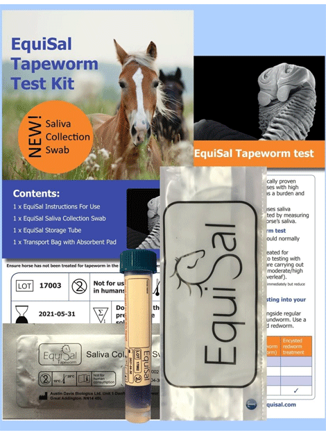 Equine Saliva Test Kit for Horses - Accurate & Easy-to-Use Horse Health Monitoring Solution | Perfect for Stable, Ranch & Veterinary Use