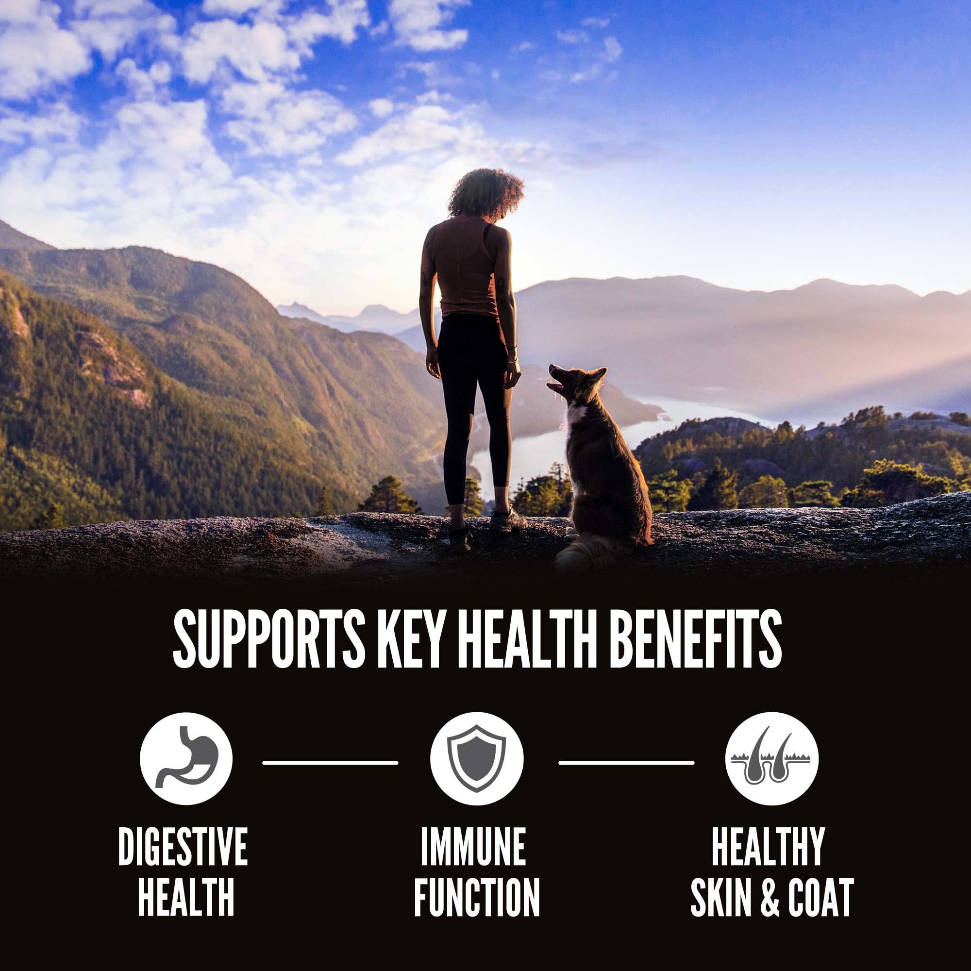 ORIJEN Amazing Grains Original High Protein Dry Dog Food with Fresh & Raw Ingredients - Premium Grain-Free Nutrition for Adult Dogs - Perfect for Active Pets & Training Rewards