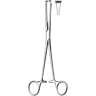 Allis Thoms Forceps 8