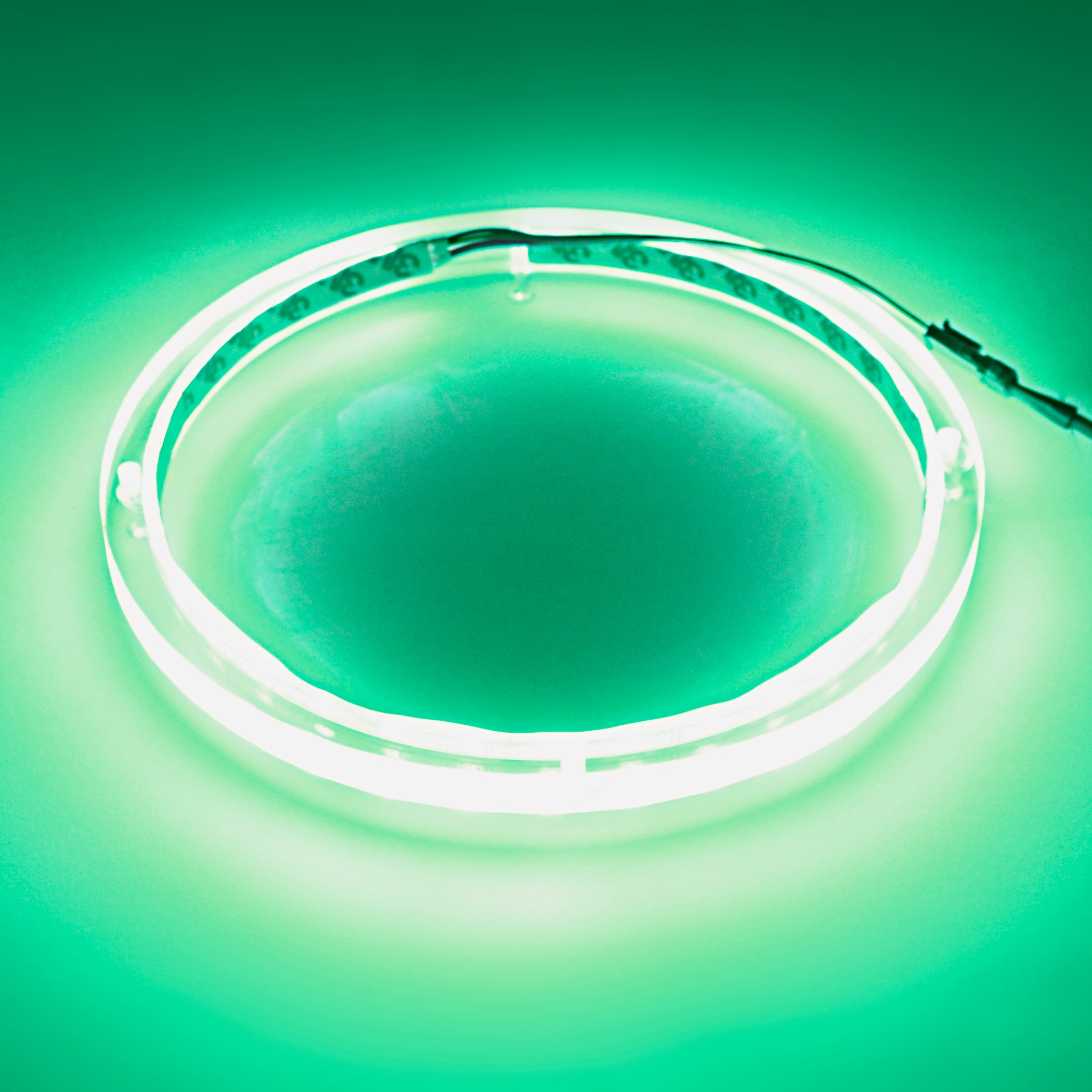 10 Pack RGB LED Speaker Rings - Colorful Lighting for DJ, Gaming & Home Audio (NL RIAPMP 10RGB) - Perfect for Parties, Concerts & PC Setups