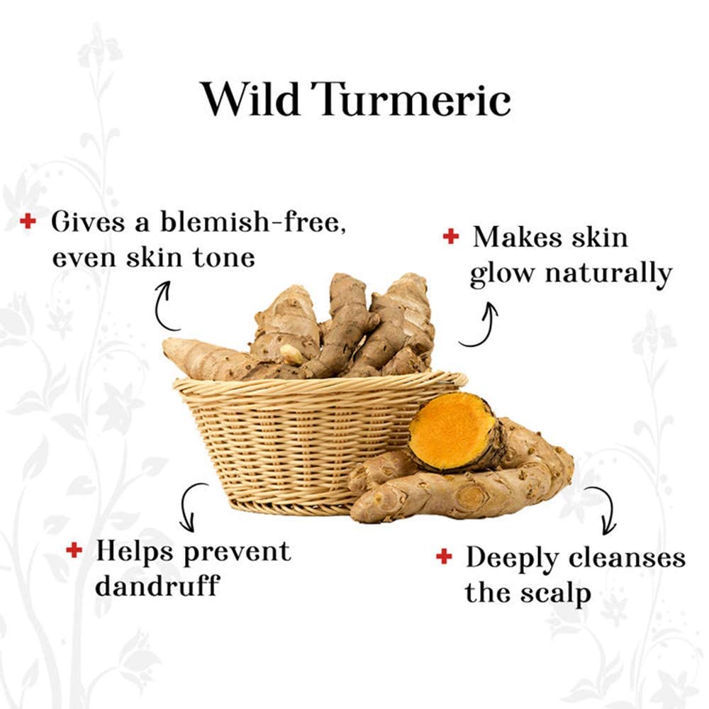 Organic Kasturi Haldi Powder for Face & Skin Care - 200g Wild Turmeric Powder (Kasturi Manjal) - Brightens Complexion, Reduces Blemishes & Dark Spots - Perfect for DIY Face Masks, Skin Lightening & Ayurvedic Beauty Treatments