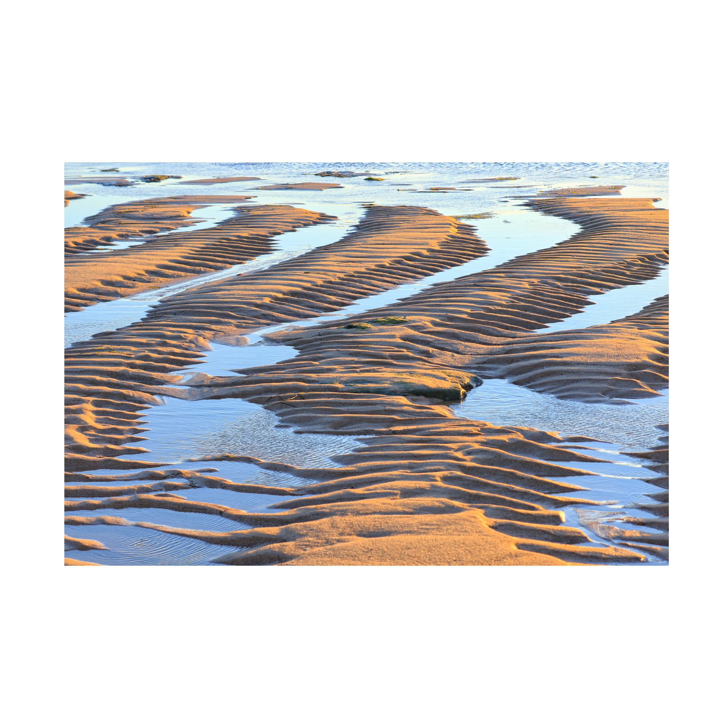 Trademark Fine Art 'Beach Art' Canvas Print by Beata Czyzowska Young - Coastal Wall Decor for Living Room, Bedroom & Office