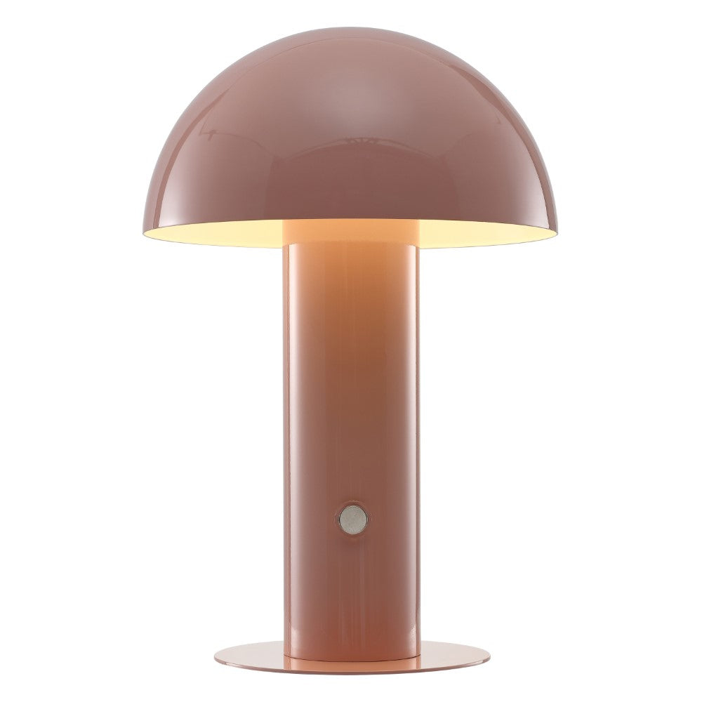 Boletus 10.75