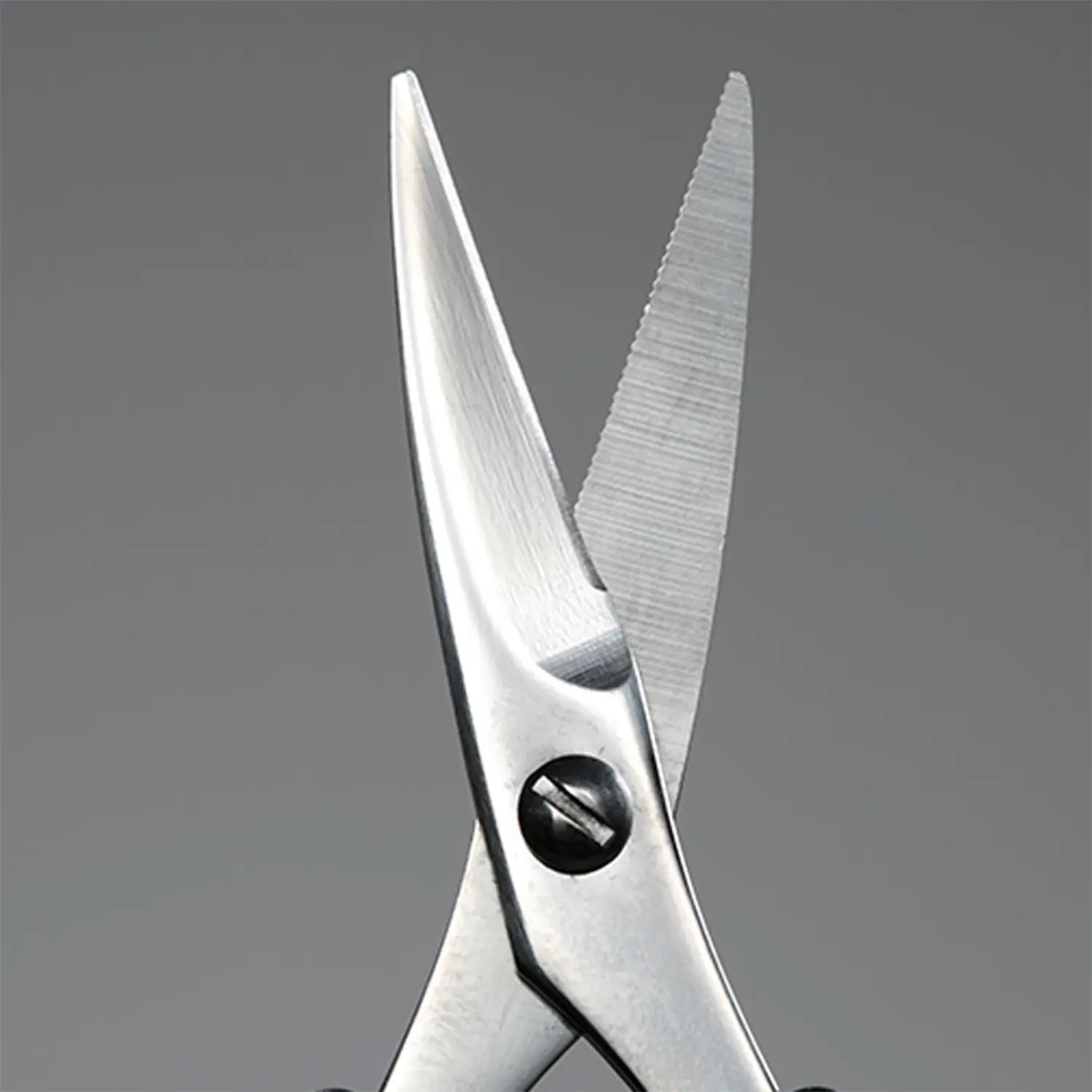 Takuminowaza Stainless Steel Nail Clipper - Professional Slim Nail Nipper for Precise Trimming - Perfect for Manicure, Pedicure & Grooming at Home or Salon