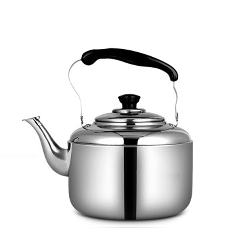 GANFANREN Stainless Steel Whistle Tea Kettle - 1.5L Silver Whistling Stovetop Teapot for Gas & Induction Cooktops - Perfect for Home, Camping & Outdoor Tea Brewing