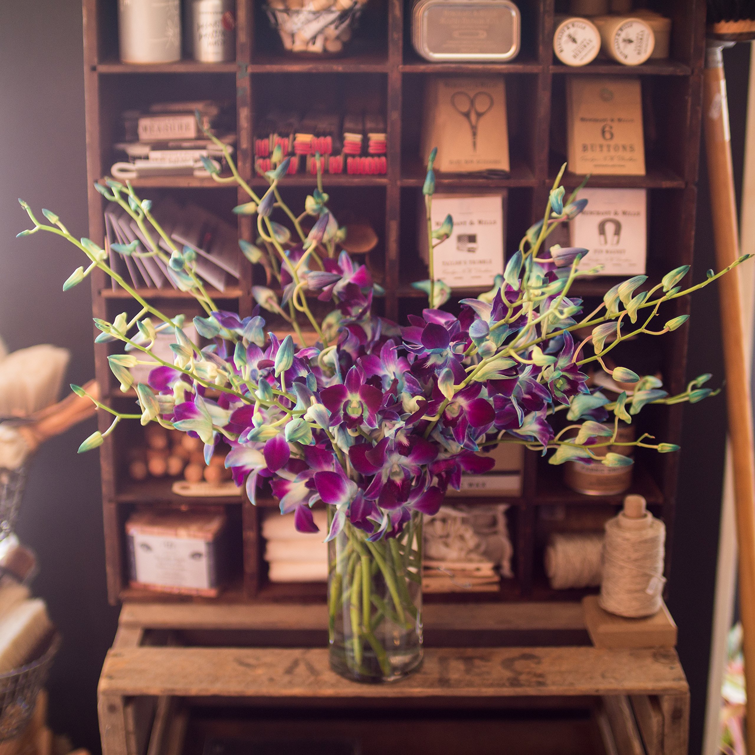 Exotic Sapphire Blue Orchids in Vase - 20 Stems Fresh Flowers for Mother’s Day, Birthday, Anniversary & Special Occasions | Next Day Delivery | Perfect Gift for Valentine’s, Get Well & Thank You | Home & Office Decoration