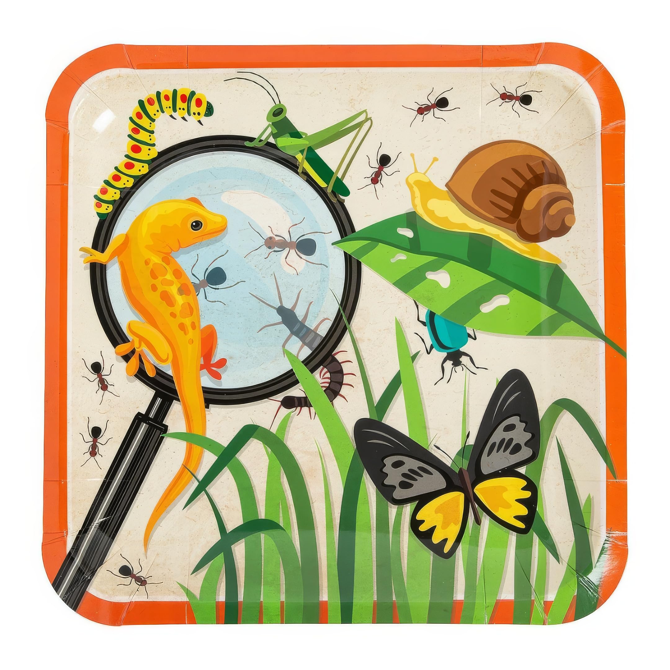 Fun Express Backyard Adventure Dinner Plates - 8-Piece Set for Outdoor Parties, Picnics, Camping & VBS Vacation Bible School Decorations