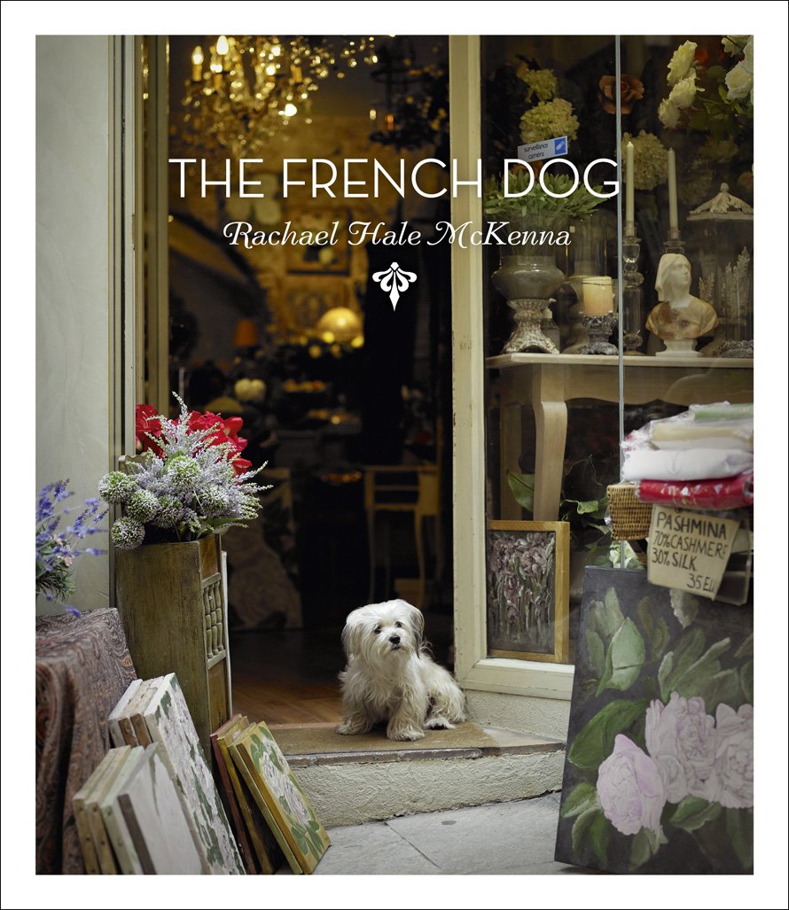 Mini French Dog - Adorable Small Breed Puppy for Pet Lovers | Perfect for Apartment Living & Family Companionship